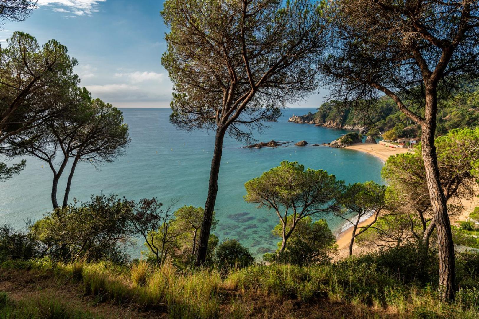 Albamar Apartaments Lloret de Mar Exterior photo